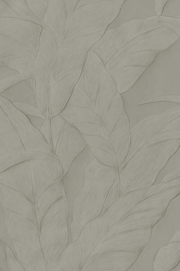Selva Musa – Musa – 75000