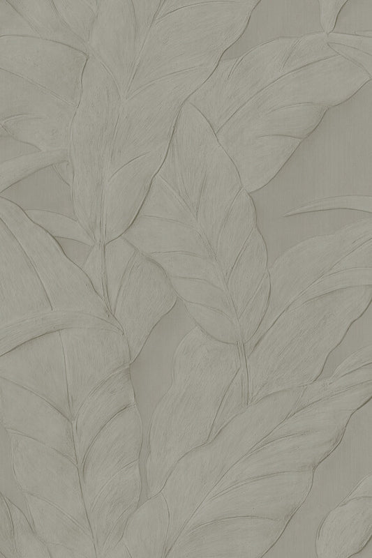 Selva Musa – Musa – 75000