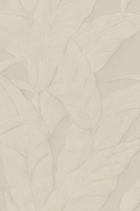 Selva Musa –  75002