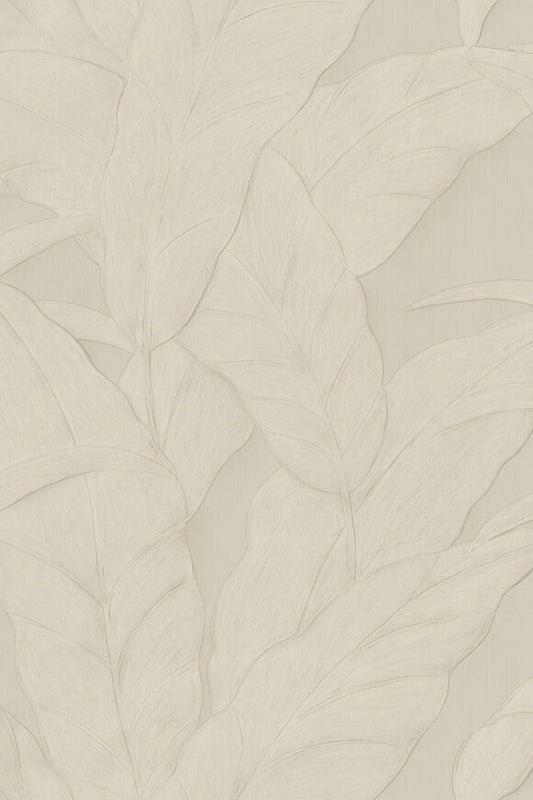 Selva Musa –  75002