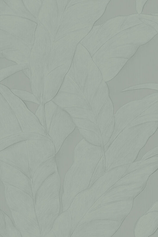 Selva Musa – 75003