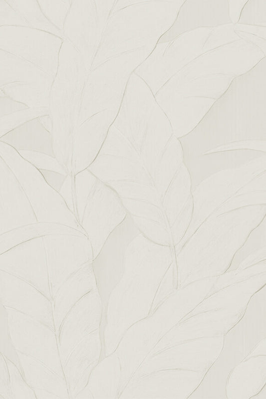 Selva Musa – 75001