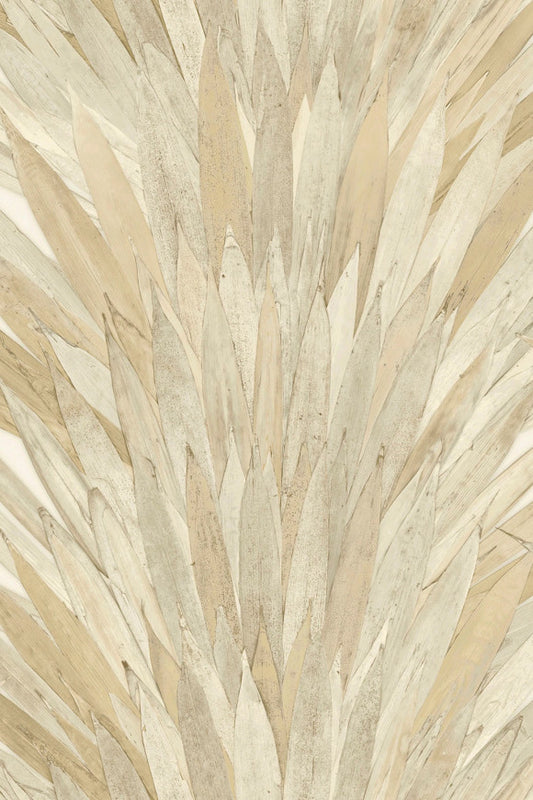 Selva Albanico 34000