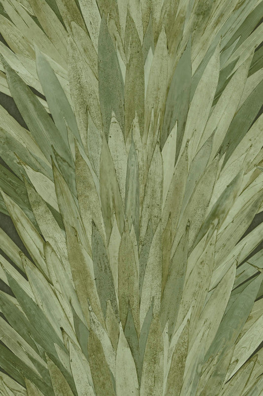 Selva Albanico 34001