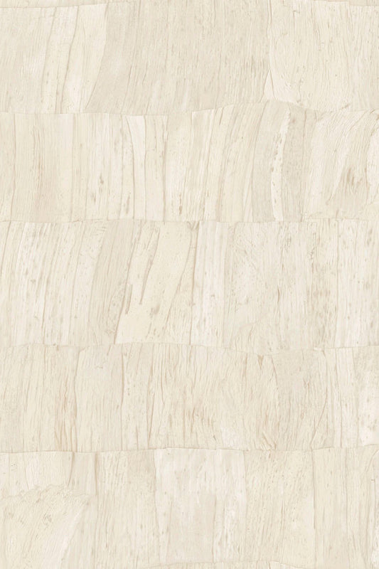Selva Capas 34301