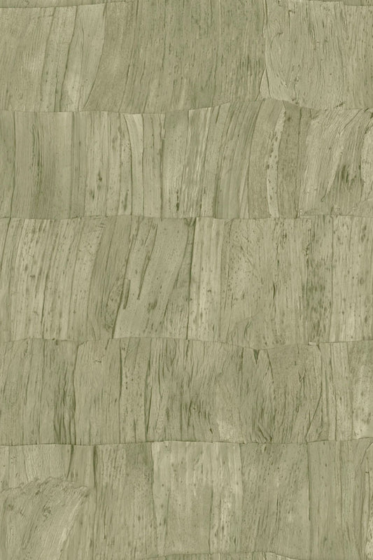 Selva Capas 34304
