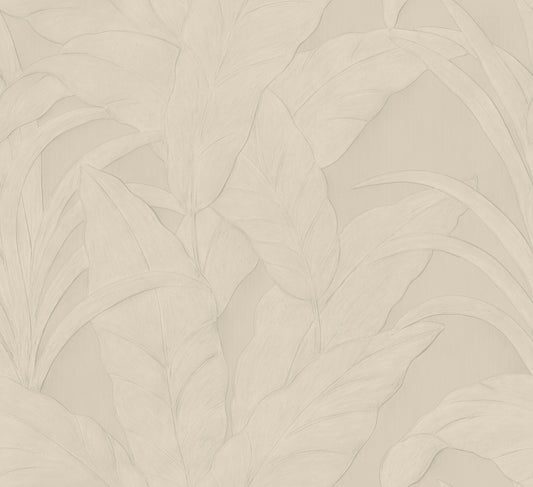 MONSOON 2.0 - 75002B - MUSA